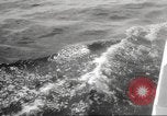 Image of America's Cup qualifying race 1958 Newport Rhode Island USA, 1958, second 33 stock footage video 65675066504