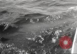 Image of America's Cup qualifying race 1958 Newport Rhode Island USA, 1958, second 34 stock footage video 65675066504