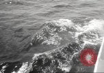 Image of America's Cup qualifying race 1958 Newport Rhode Island USA, 1958, second 35 stock footage video 65675066504