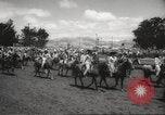 Immagine di Rodeo Salinas California USA, 1958, secondo 13 filmato di repertorio 65675066520