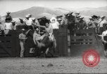 Immagine di Rodeo Salinas California USA, 1958, secondo 29 filmato di repertorio 65675066520