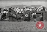 Immagine di Rodeo Salinas California USA, 1958, secondo 44 filmato di repertorio 65675066520