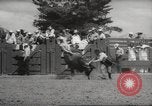 Immagine di Rodeo Salinas California USA, 1958, secondo 55 filmato di repertorio 65675066520