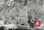 Immagine di Soldati americani Beirut Libano, 1958, secondo 30 filmato di repertorio 65675066521