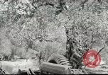 Immagine di Soldati americani Beirut Libano, 1958, secondo 32 filmato di repertorio 65675066521
