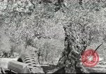 Immagine di Soldati americani Beirut Libano, 1958, secondo 34 filmato di repertorio 65675066521