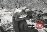 Image Aumônier de l'armée américaine Corps Beyrouth Liban, 1958, de la seconde 15 séquences d'archives historiques vidéo 65675066524