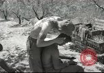 Image Aumônier de l'armée américaine Corps Beyrouth Liban, 1958, de la seconde 18 séquences d'archives historiques vidéo 65675066524