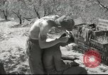 Image Aumônier de l'armée américaine Corps Beyrouth Liban, 1958, de la seconde 30 séquences d'archives historiques vidéo 65675066524