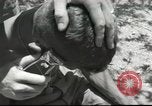Image Aumônier de l'armée américaine Corps Beyrouth Liban, 1958, de la seconde 52 séquences d'archives historiques vidéo 65675066524