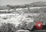 Image of American Army Chaplain Corps Beirut Lebanon, 1958, second 46 stock footage video 65675066527