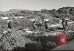 Image of American Army Chaplain Corps Beirut Lebanon, 1958, second 32 stock footage video 65675066528