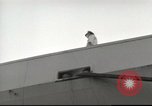 Image of USS Upshur Beirut Lebanon, 1958, second 58 stock footage video 65675066534