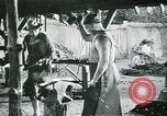 Image nous Histoire United States USA, 1953, de la seconde 37 séquences d'archives historiques vidéo 65675066551