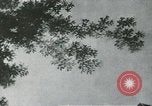 Standbild Menschen in westlichen Staaten United States USA, 1953, aus Sekunde 3 historischem Filmmaterial Videoclip 65675066555