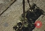 Standbild Munition laden Vietnam, 1969, aus Sekunde 55 historischem Filmmaterial Videoclip 65675066568