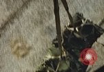 Standbild Munition laden Vietnam, 1969, aus Sekunde 56 historischem Filmmaterial Videoclip 65675066568