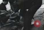 Image of Normandy Landings Normandy France, 1944, second 8 stock footage video 65675066581