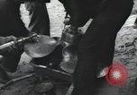 Image of Normandy Landings Normandy France, 1944, second 14 stock footage video 65675066581