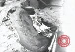 Image of Normandy Landings Normandy France, 1944, second 19 stock footage video 65675066581