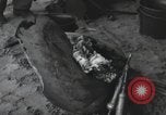 Image of Normandy Landings Normandy France, 1944, second 21 stock footage video 65675066581