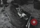 Image of Normandy Landings Normandy France, 1944, second 22 stock footage video 65675066581