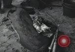 Image of Normandy Landings Normandy France, 1944, second 23 stock footage video 65675066581