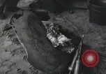 Image of Normandy Landings Normandy France, 1944, second 24 stock footage video 65675066581