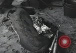 Image of Normandy Landings Normandy France, 1944, second 26 stock footage video 65675066581