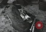 Image of Normandy Landings Normandy France, 1944, second 27 stock footage video 65675066581