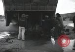 Image of Normandy Landings Normandy France, 1944, second 33 stock footage video 65675066581
