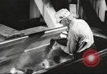 Image of vitamin enriched food for World War 2 soldiers United States USA, 1943, second 29 stock footage video 65675066586