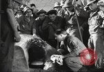 Image of vitamin enriched food for World War 2 soldiers United States USA, 1943, second 48 stock footage video 65675066586