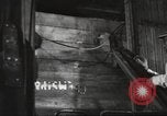 Image of nutritious food for soldiers in World War 2 United States USA, 1943, second 1 stock footage video 65675066588