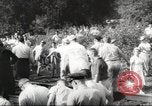 Standbild Zugunglueck New York United States USA, 1958, aus Sekunde 54 historischem Filmmaterial Videoclip 65675066592