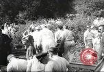Standbild Zugunglueck New York United States USA, 1958, aus Sekunde 55 historischem Filmmaterial Videoclip 65675066592