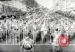 Image of Allied bombing Hamburg Germany, 1943, second 8 stock footage video 65675066597