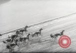 Image of Volo Song Goshen New York USA, 1943, second 30 stock footage video 65675066599