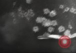 Image of B-24 Liberator bombers Pacific Theater, 1943, second 34 stock footage video 65675066601