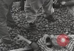 Image of concentration camp Mauthausen Austria, 1945, second 32 stock footage video 65675066603