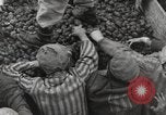 Image of concentration camp Mauthausen Austria, 1945, second 34 stock footage video 65675066603