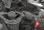 Image of concentration camp Mauthausen Austria, 1945, second 35 stock footage video 65675066603