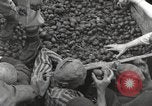 Image of concentration camp Mauthausen Austria, 1945, second 38 stock footage video 65675066603
