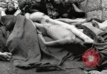 Image camp de concentration Mauthausen Autriche, 1945, de la seconde 24 séquences d'archives historiques vidéo 65675066604