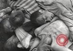 Image camp de concentration Mauthausen Autriche, 1945, de la seconde 39 séquences d'archives historiques vidéo 65675066604