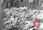 Image camp de concentration Mauthausen Autriche, 1945, de la seconde 53 séquences d'archives historiques vidéo 65675066604