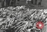Image camp de concentration Mauthausen Autriche, 1945, de la seconde 54 séquences d'archives historiques vidéo 65675066604