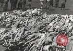 Image camp de concentration Mauthausen Autriche, 1945, de la seconde 55 séquences d'archives historiques vidéo 65675066604