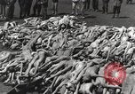 Image camp de concentration Mauthausen Autriche, 1945, de la seconde 56 séquences d'archives historiques vidéo 65675066604