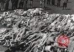 Image camp de concentration Mauthausen Autriche, 1945, de la seconde 57 séquences d'archives historiques vidéo 65675066604